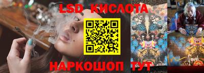 дживик Можга