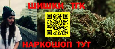 дживик Можга