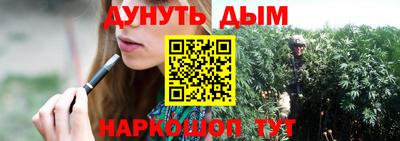 дживик Можга