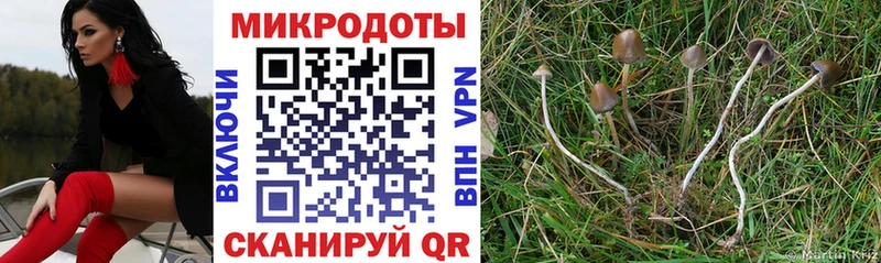 Галлюциногенные грибы мухоморы Ногинск