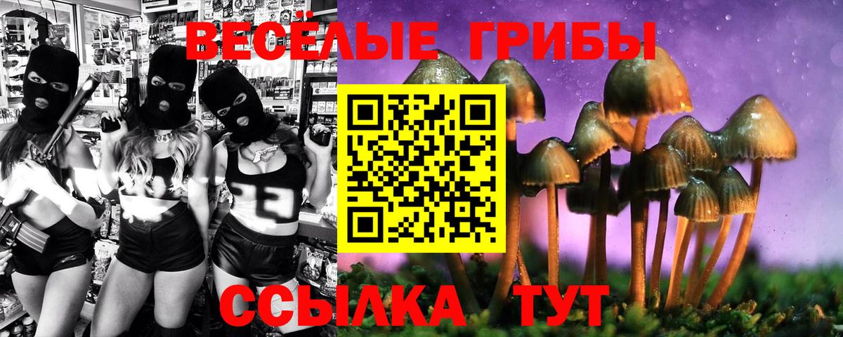 Галлюциногенные грибы MAGIC MUSHROOMS Ногинск
