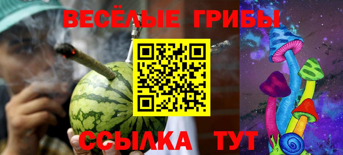 Ногинск  Псилоцибиновые грибы MAGIC MUSHROOMS  Вход с VPN 