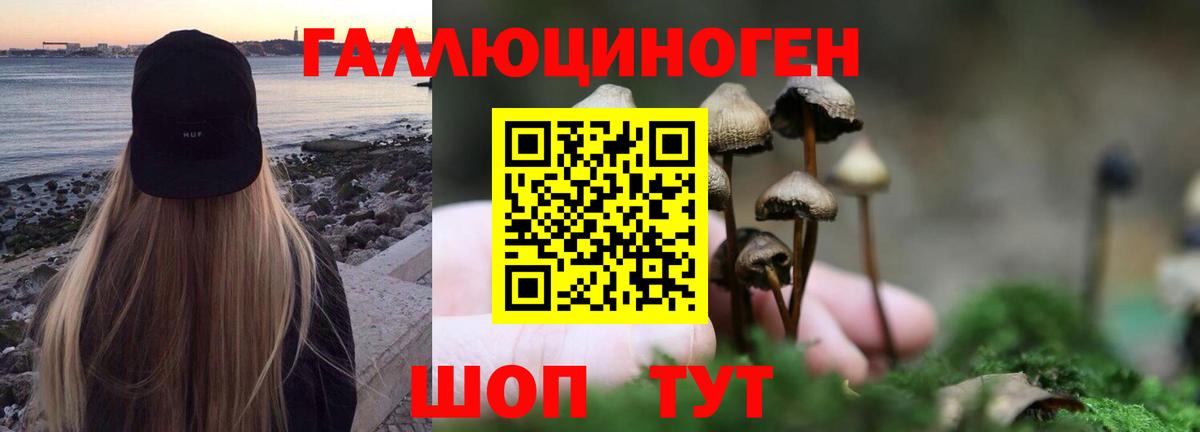 Ногинск  Псилоцибиновые грибы прущие грибы  Псилоцибиновые грибы Psilocybine cubensis  Вход с VPN 